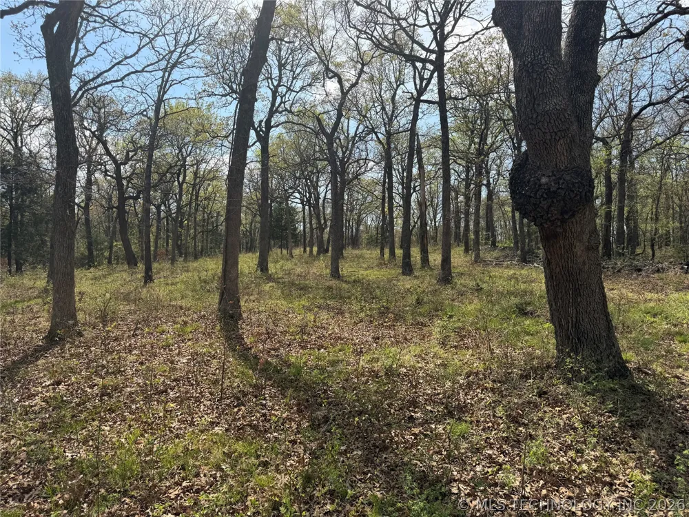 10 County Road 3410 Roff, OK 74820