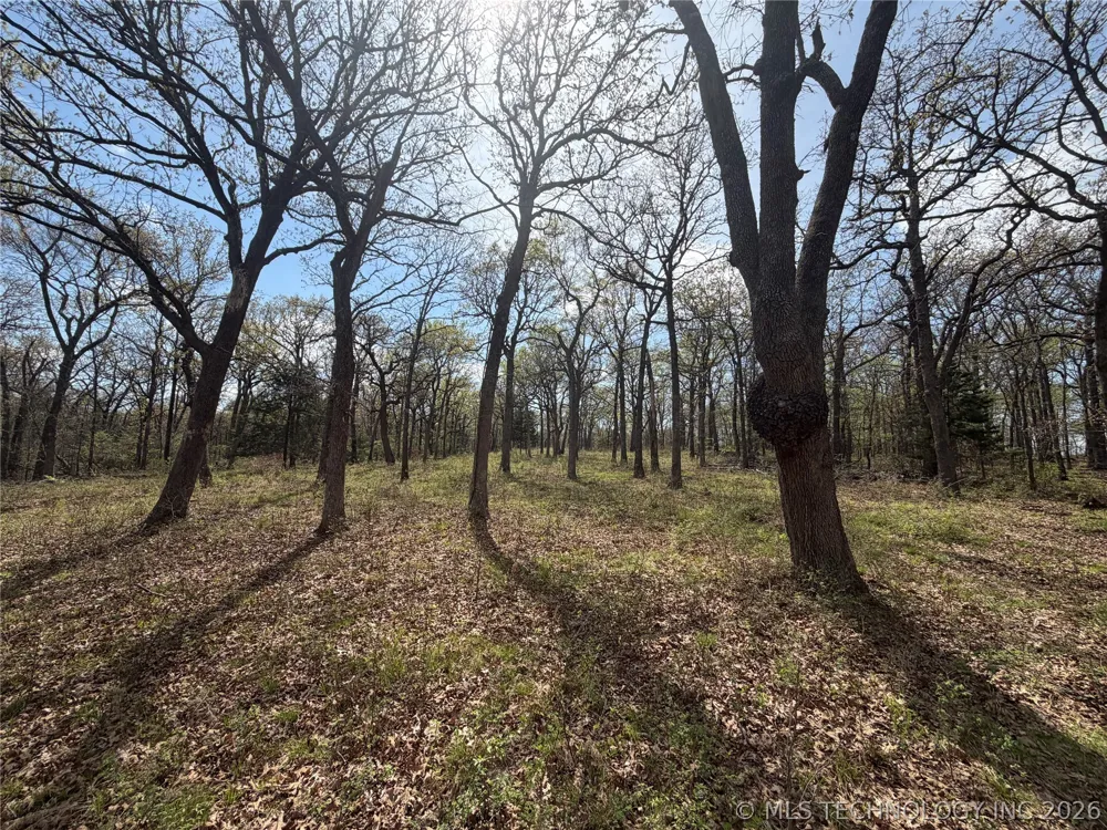 10 County Road 3410 Roff, OK 74820
