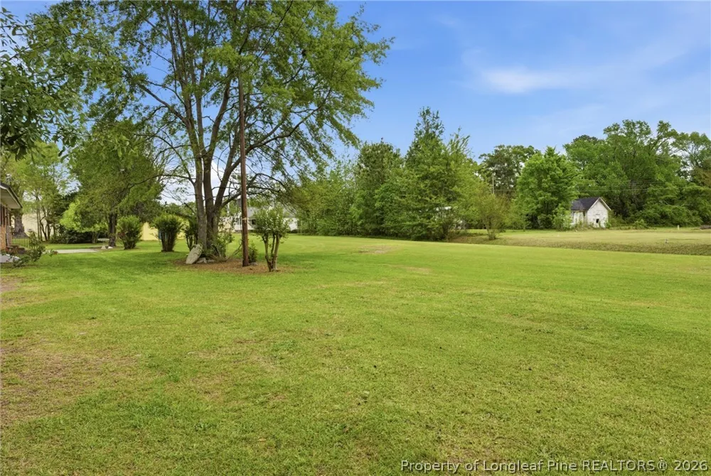 113 Third Street Dublin, NC 28332