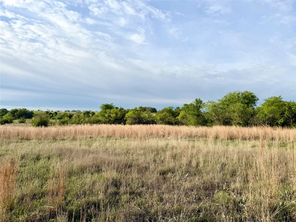 Augustus Lane Dublin, TX 76446