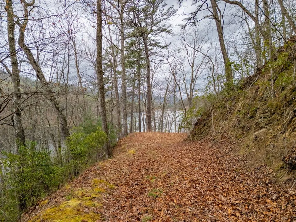 Songcatcher Court Tuckasegee, NC 28783