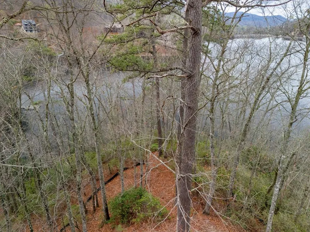 Songcatcher Court Tuckasegee, NC 28783