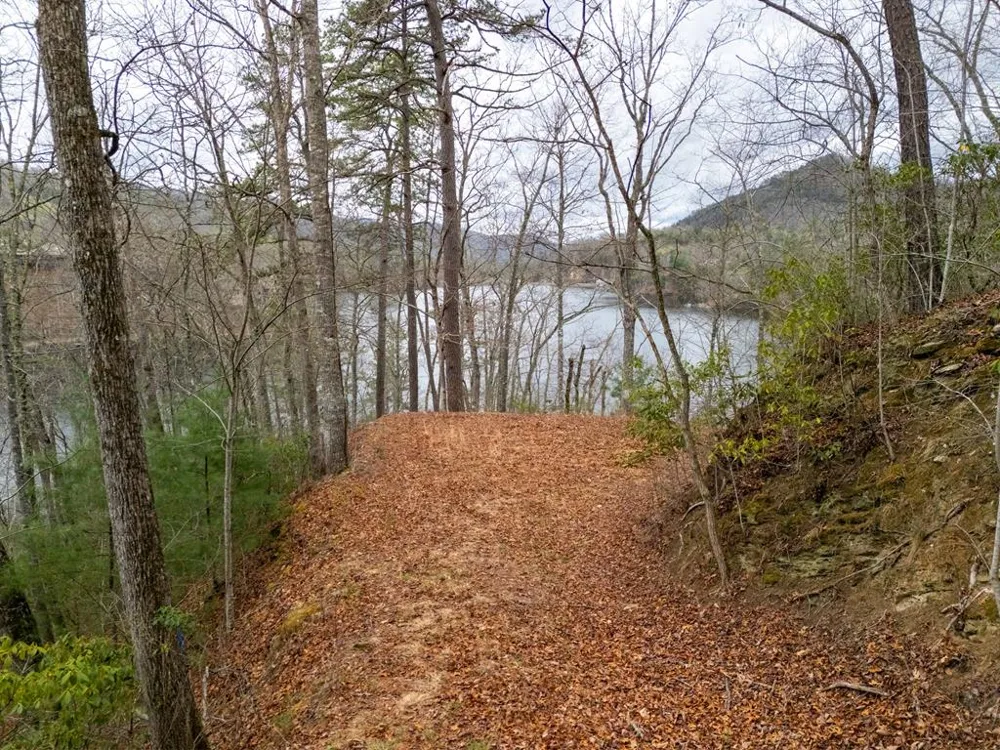 Songcatcher Court Tuckasegee, NC 28783
