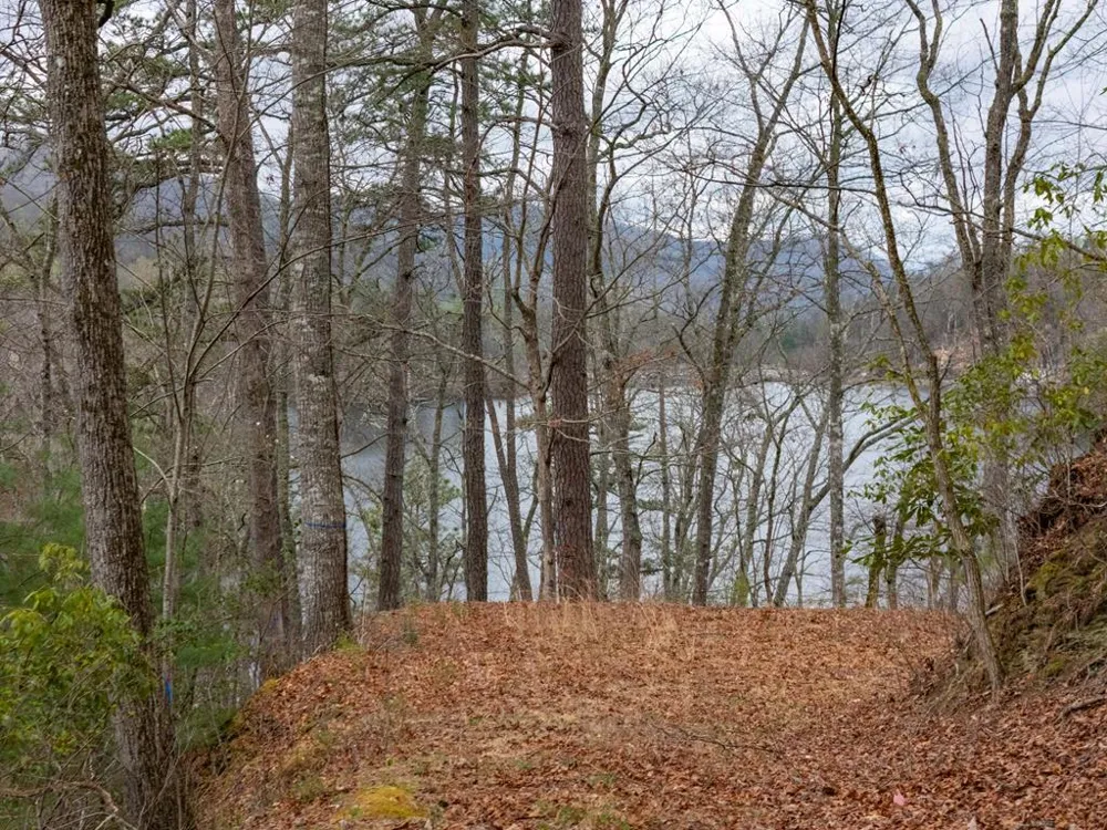 Songcatcher Court Tuckasegee, NC 28783