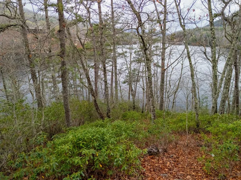 Songcatcher Court Tuckasegee, NC 28783