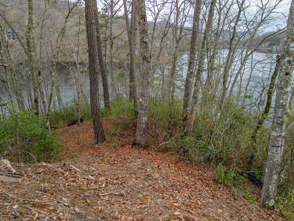 Songcatcher Court Tuckasegee, NC 28783