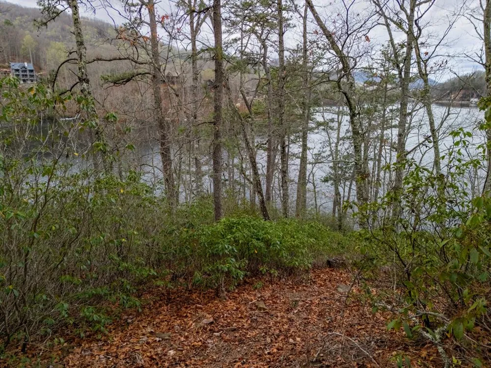 Songcatcher Court Tuckasegee, NC 28783