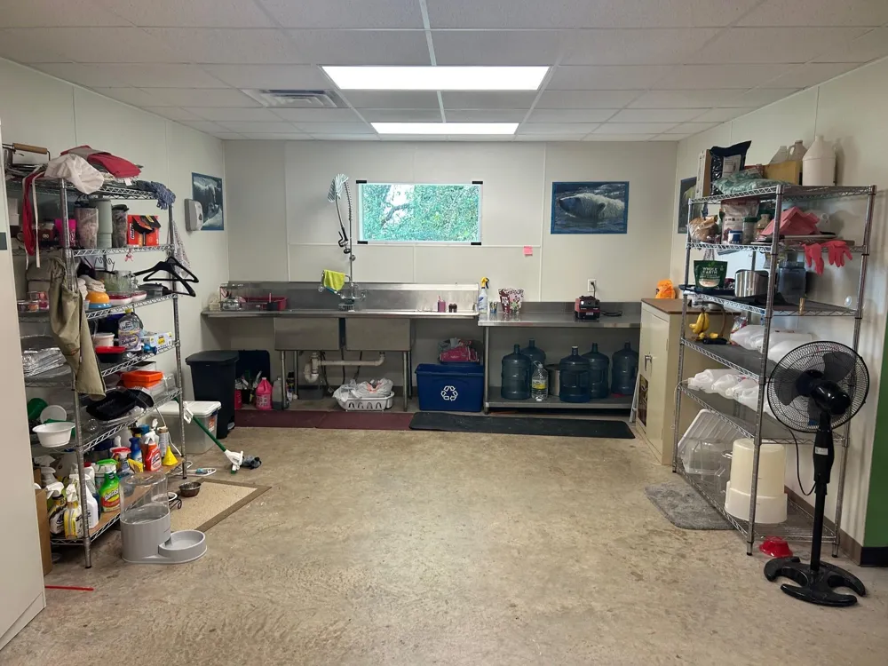 38094 Joe Loggins Road Hempstead, TX 77445