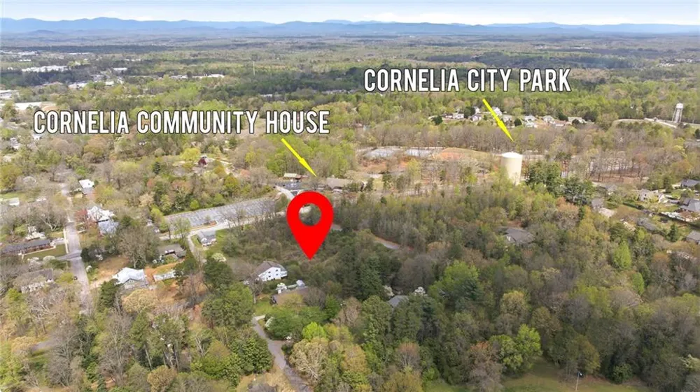 490 Maple Street Cornelia, GA 30531