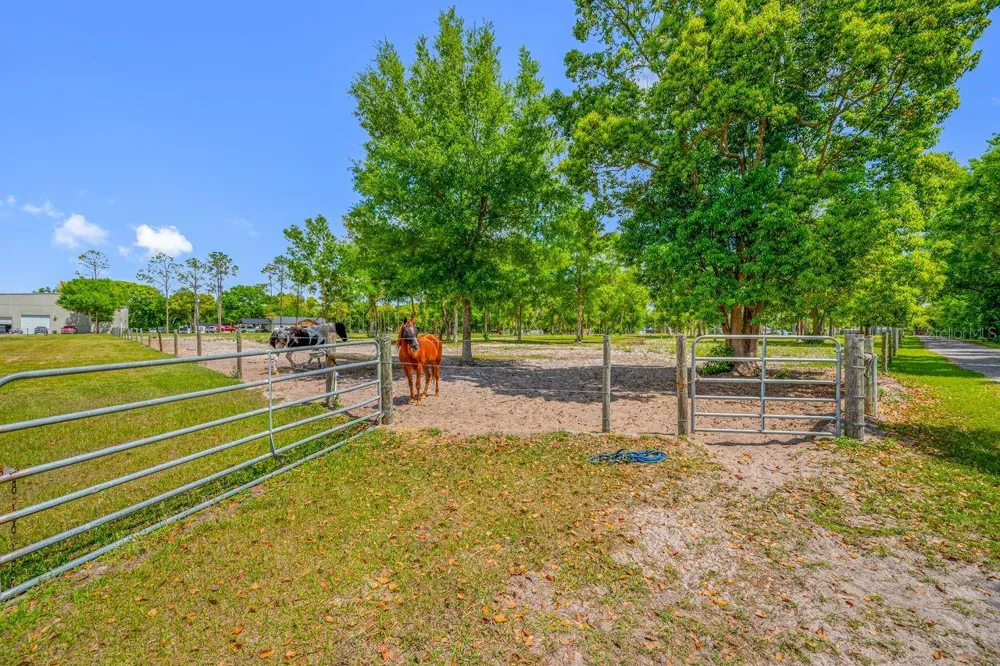 00 HANNA ROAD Lutz, FL 33549
