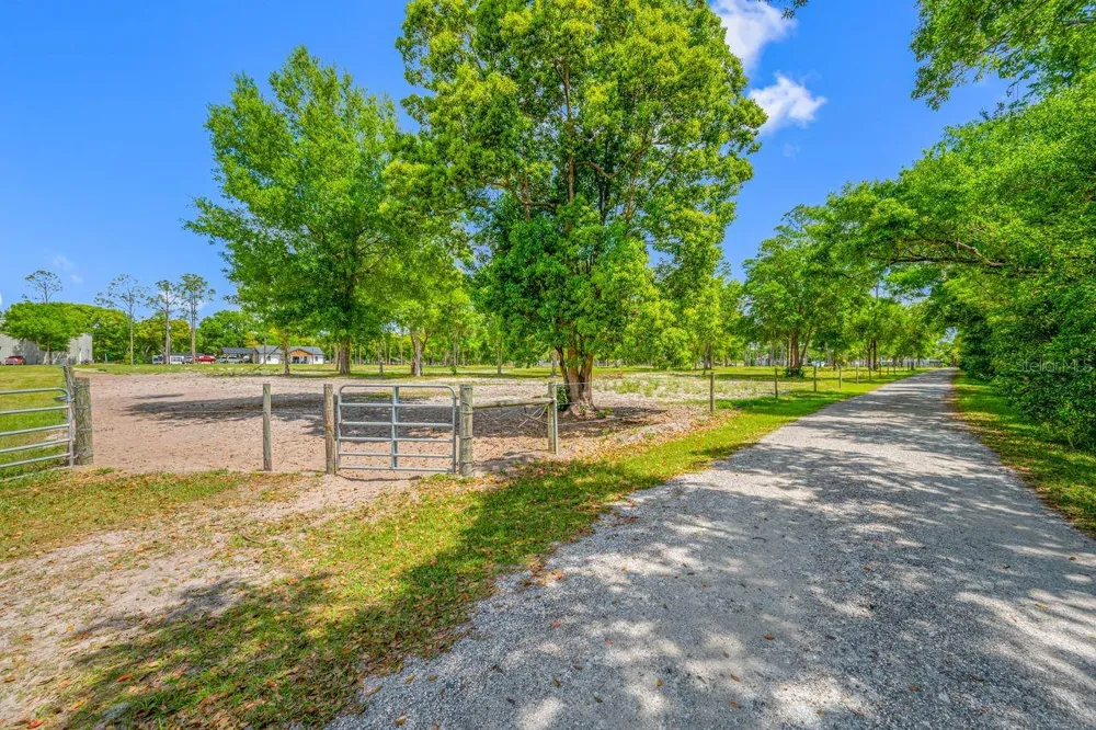 00 HANNA ROAD Lutz, FL 33549