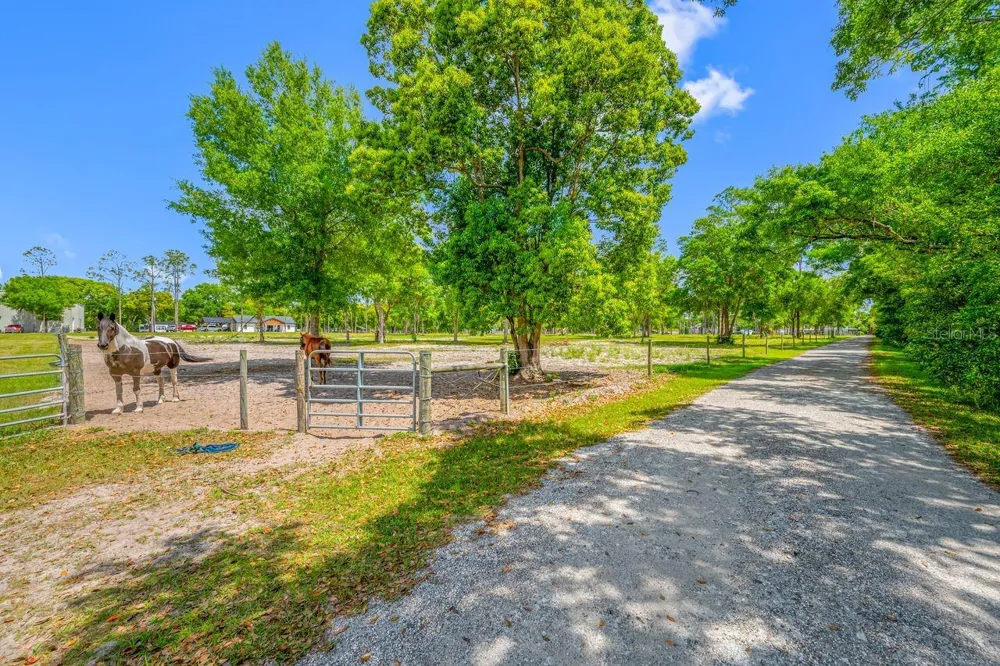 00 HANNA ROAD Lutz, FL 33549