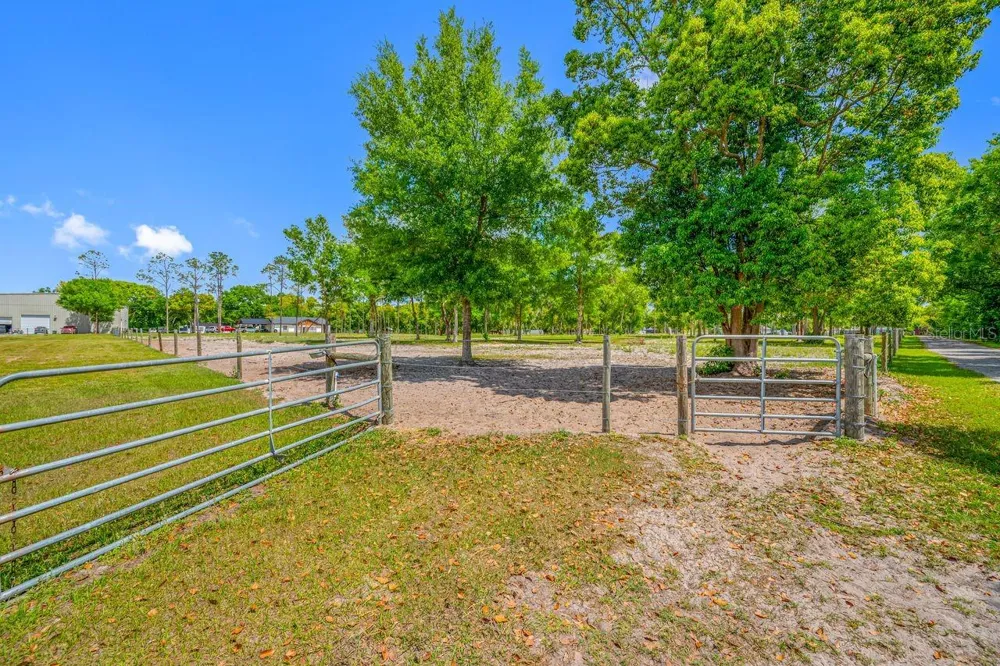 00 HANNA ROAD Lutz, FL 33549
