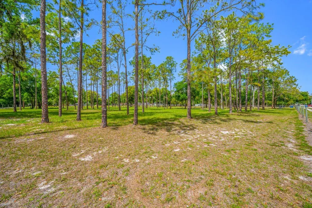 0 HANNA ROAD Lutz, FL 33549