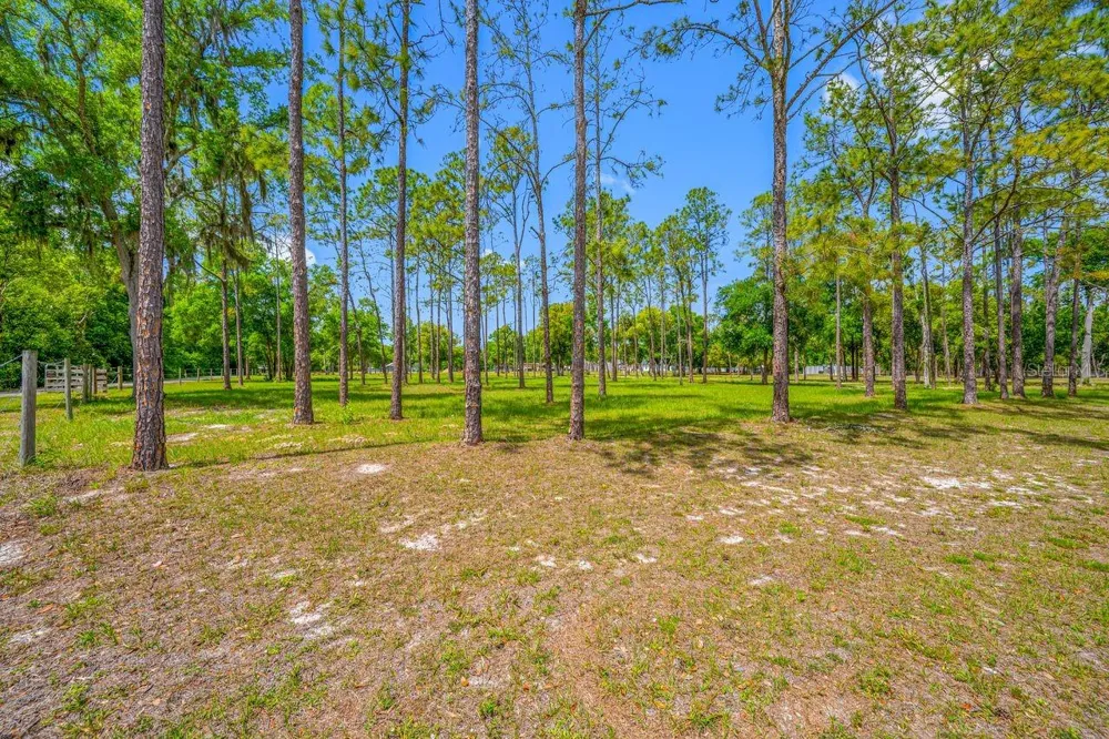 0 HANNA ROAD Lutz, FL 33549