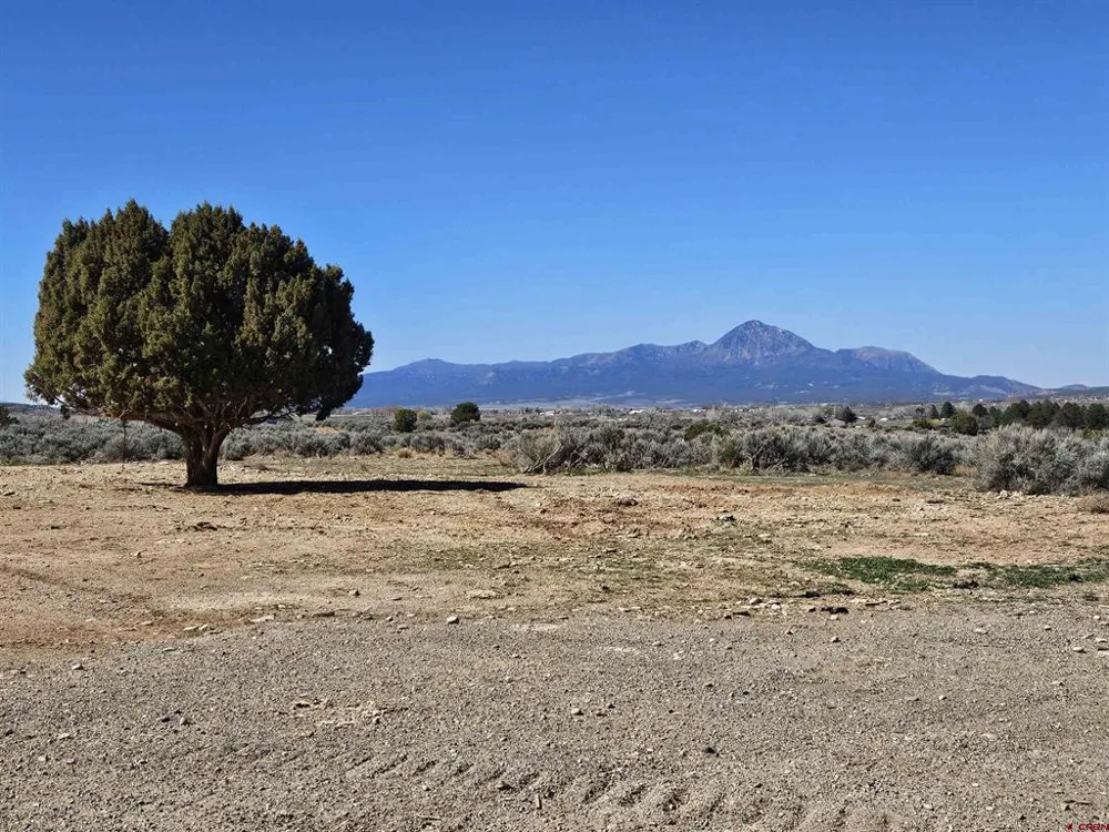 Road H.6 (East Parcel) Cortez, CO 81321