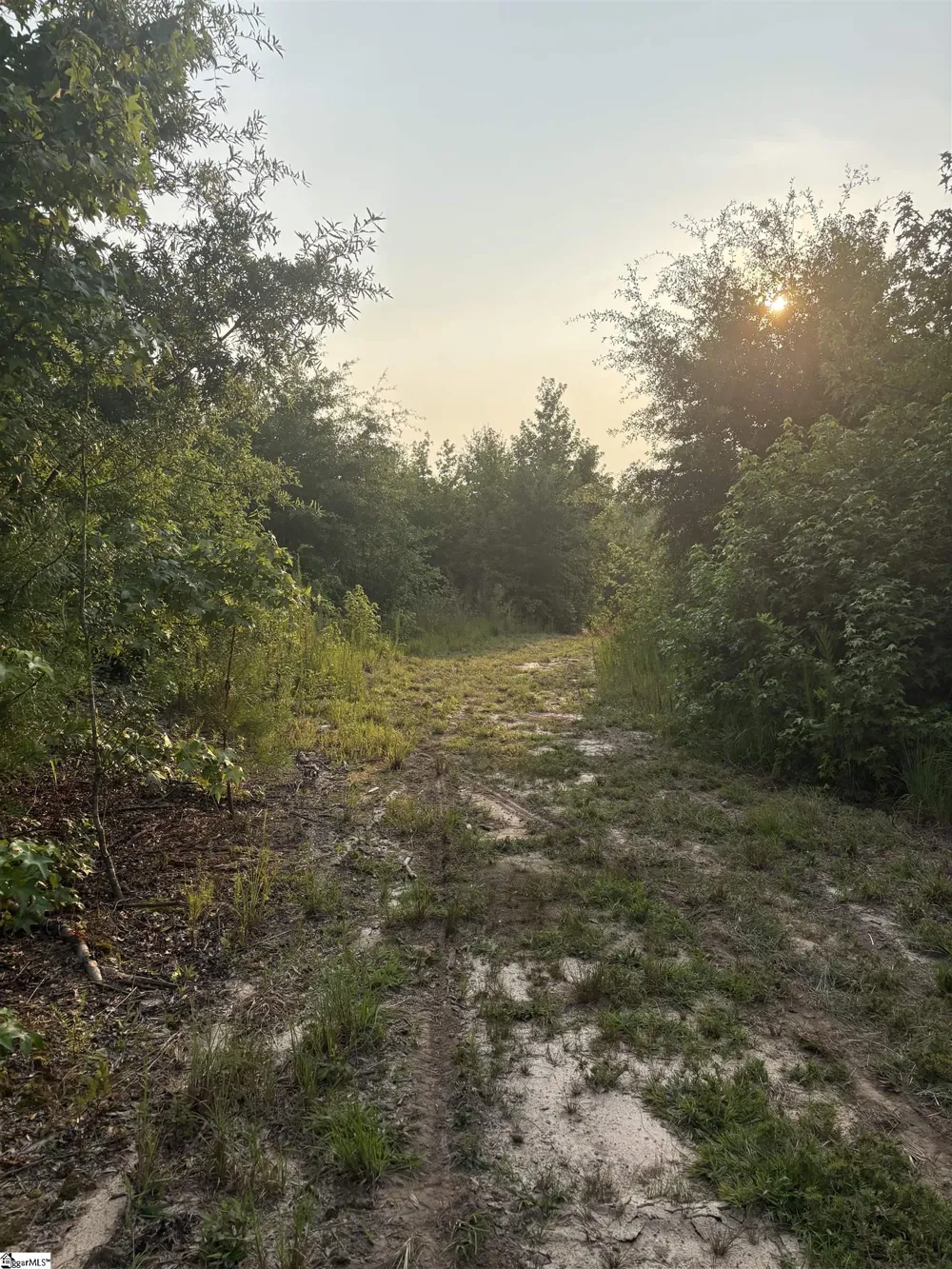 2610 Erwin Mill Road Honea Path, SC 29654