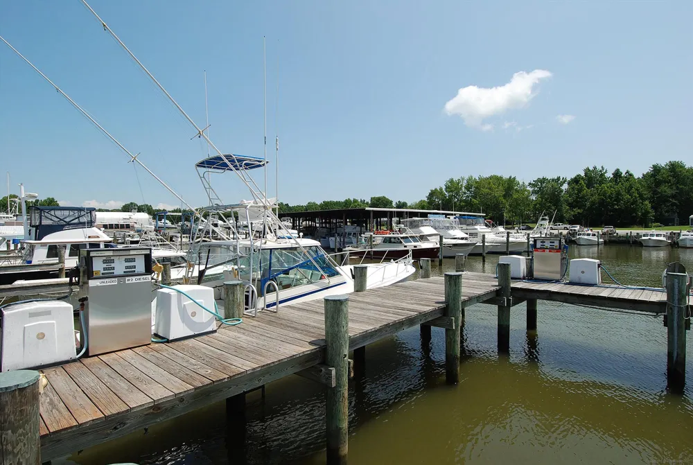 TOUHEY DRIVE Stevensville, MD 21666