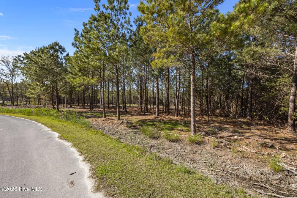 11 E Diamond Shoal Lane Vandemere, NC 28587