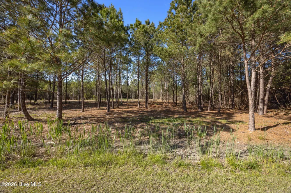 11 E Diamond Shoal Lane Vandemere, NC 28587