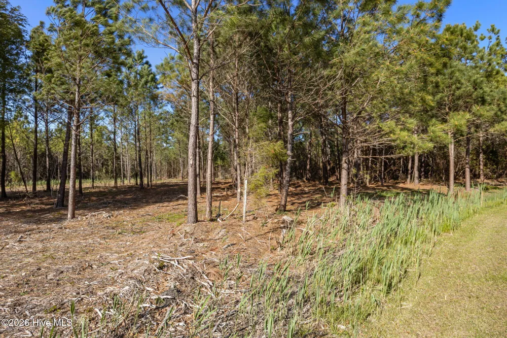 11 E Diamond Shoal Lane Vandemere, NC 28587