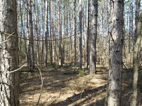 E Pine Hill Avenue