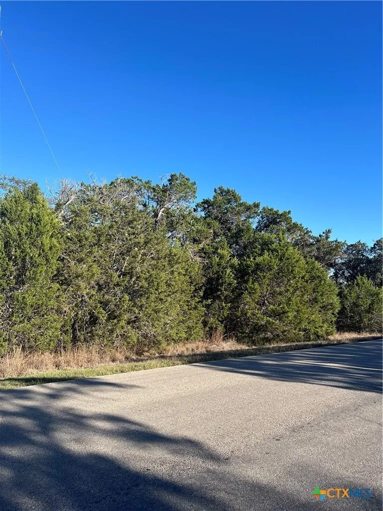684 Spring Street Spring Branch, TX 78070