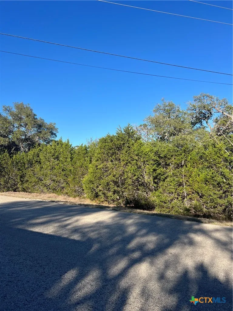684 Spring Street Spring Branch, TX 78070