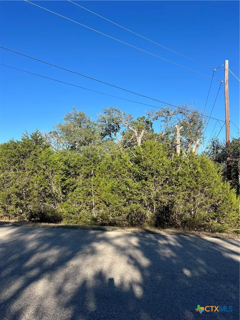 684 Spring Street Spring Branch, TX 78070