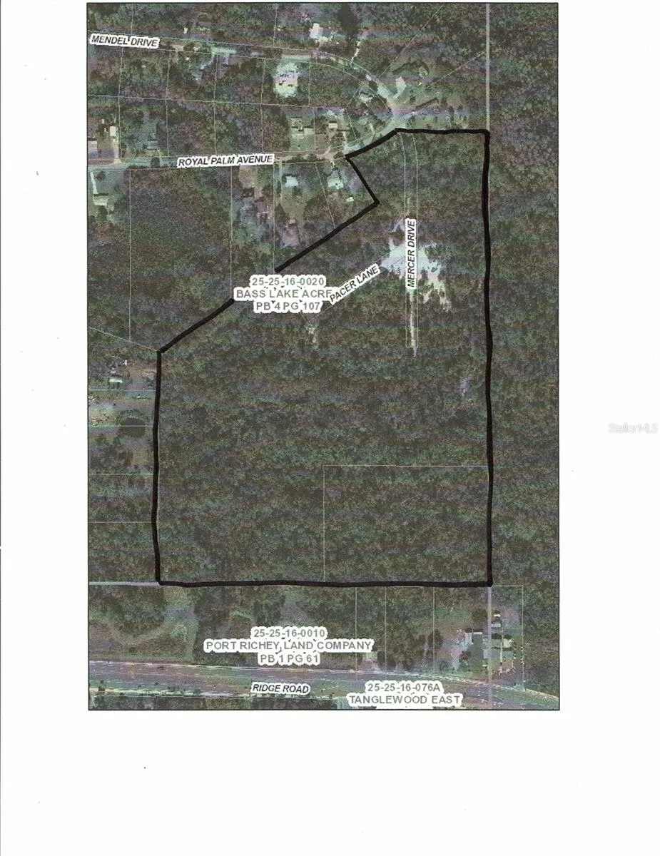 0 ROYAL PALM AVE New Port Richey, FL 34654