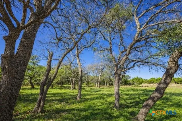 4772 County Road 340 Burnet, TX 76905