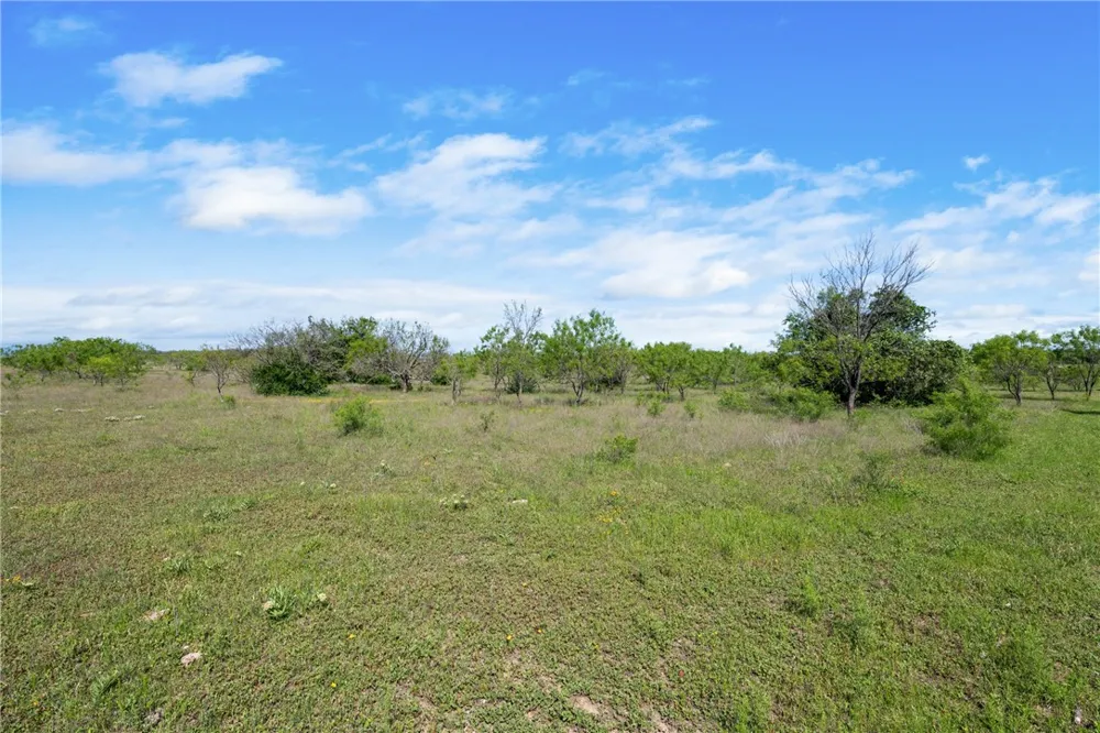 CR 236 Liberty Hill, TX 78605
