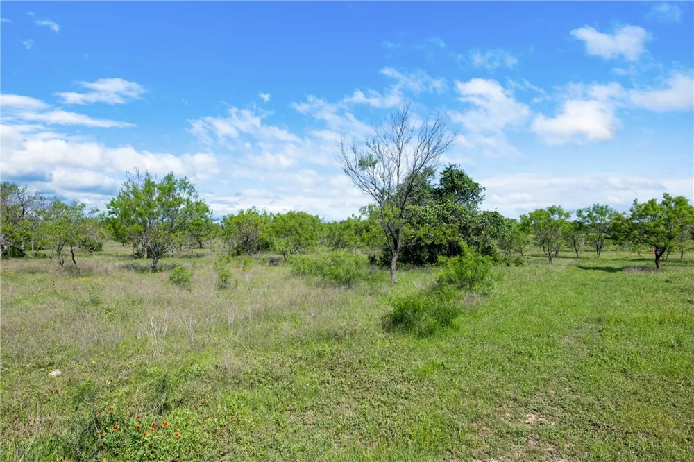 CR 236 Liberty Hill, TX 78605