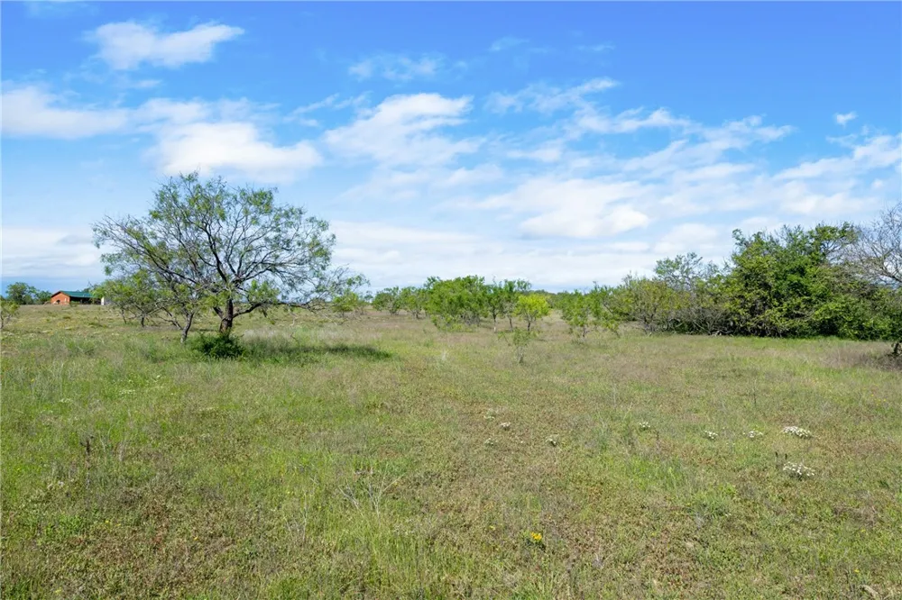 CR 236 Liberty Hill, TX 78605