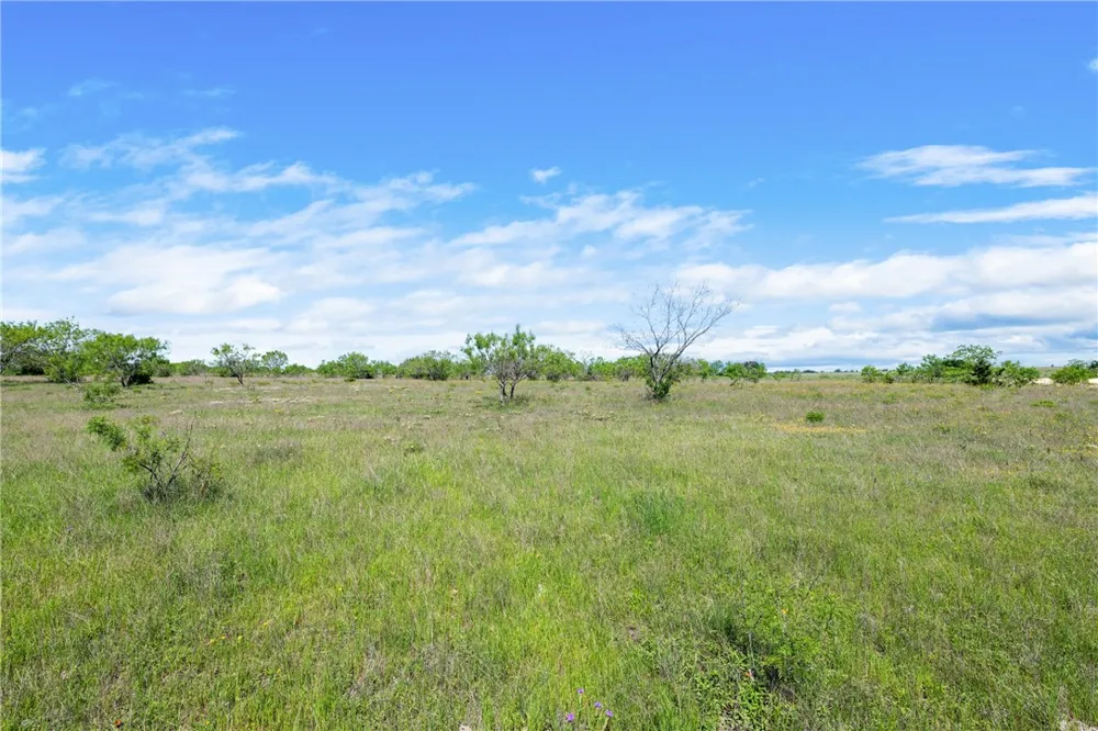 CR 236 Liberty Hill, TX 78605