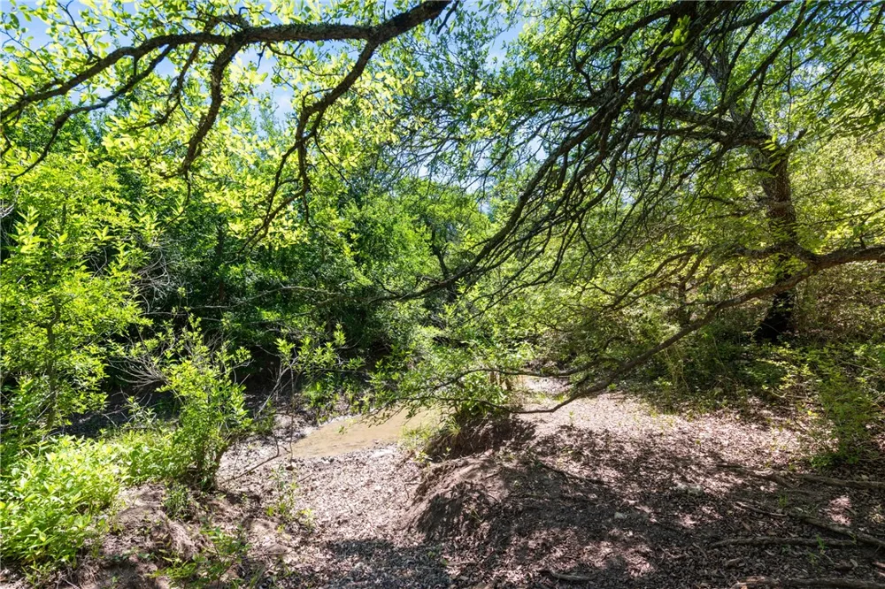 CR 236 Liberty Hill, TX 78605