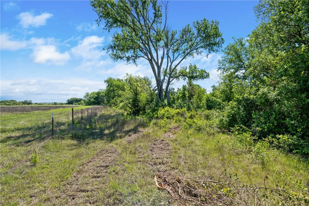 CR 236 Liberty Hill, TX 78605