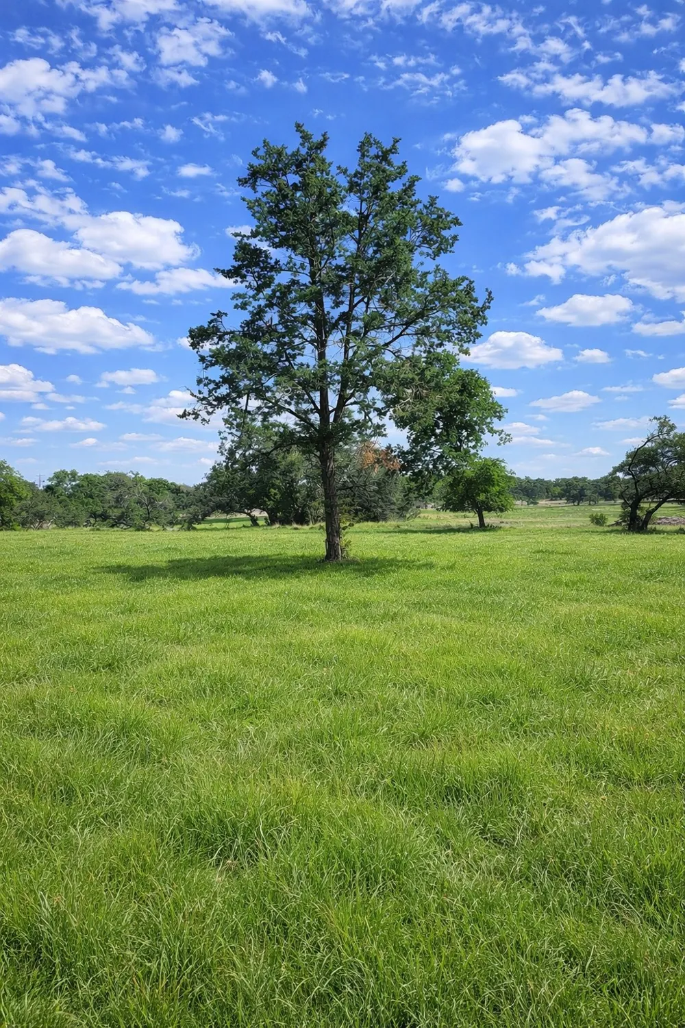 CR 103 Lampasas, TX 76550