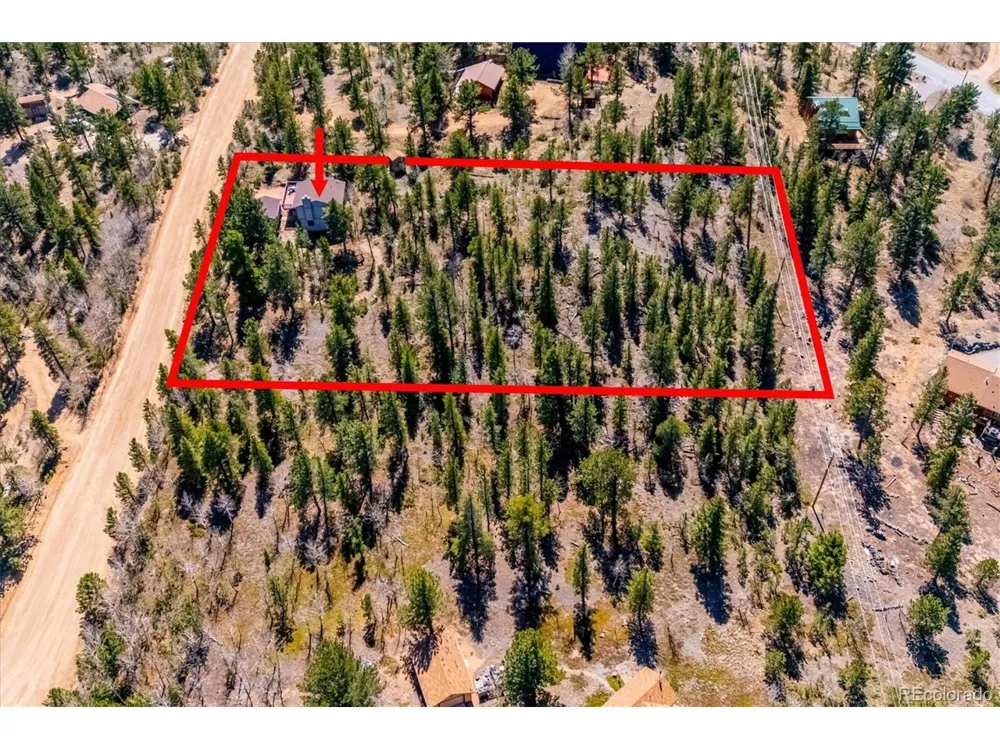 55 W Crosscut Bailey, CO 80421