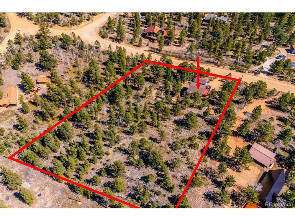 55 W Crosscut Bailey, CO 80421