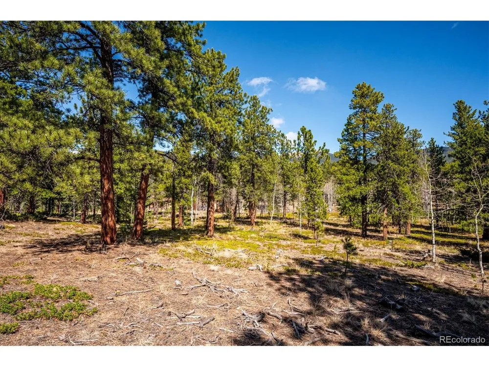 55 W Crosscut Bailey, CO 80421