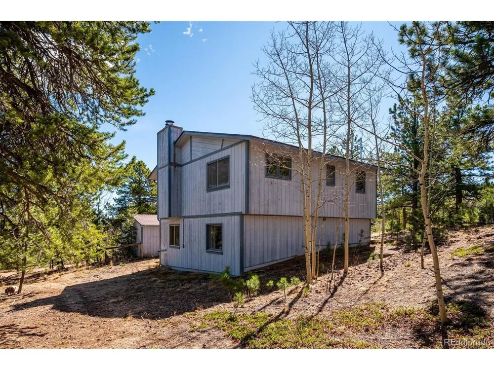 55 W Crosscut Bailey, CO 80421