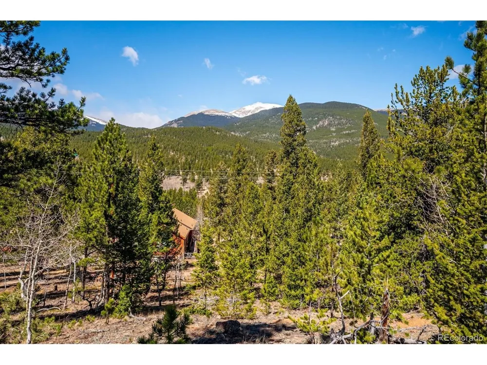 55 W Crosscut Bailey, CO 80421
