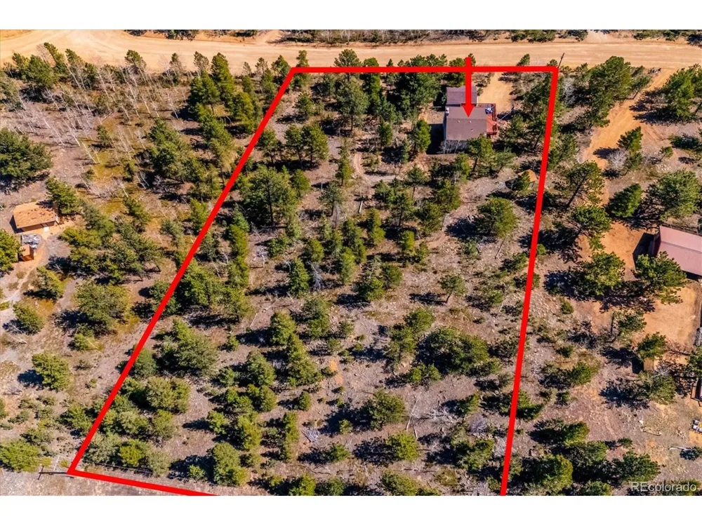 55 W Crosscut Bailey, CO 80421
