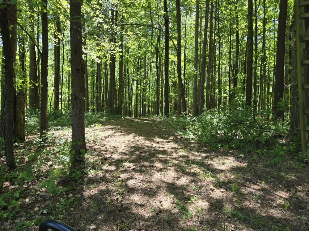 3371 Noble Road Addison Township, MI 48370