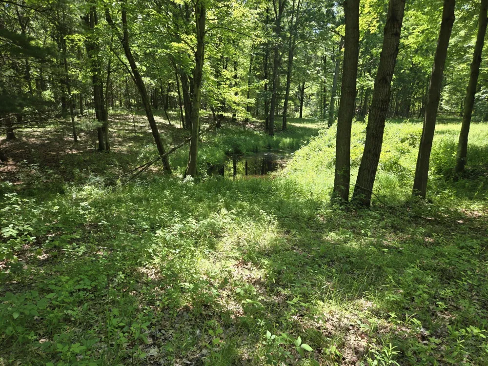 3371 Noble Road Addison Township, MI 48370