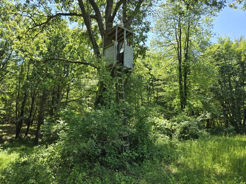 3371 Noble Road Addison Township, MI 48370