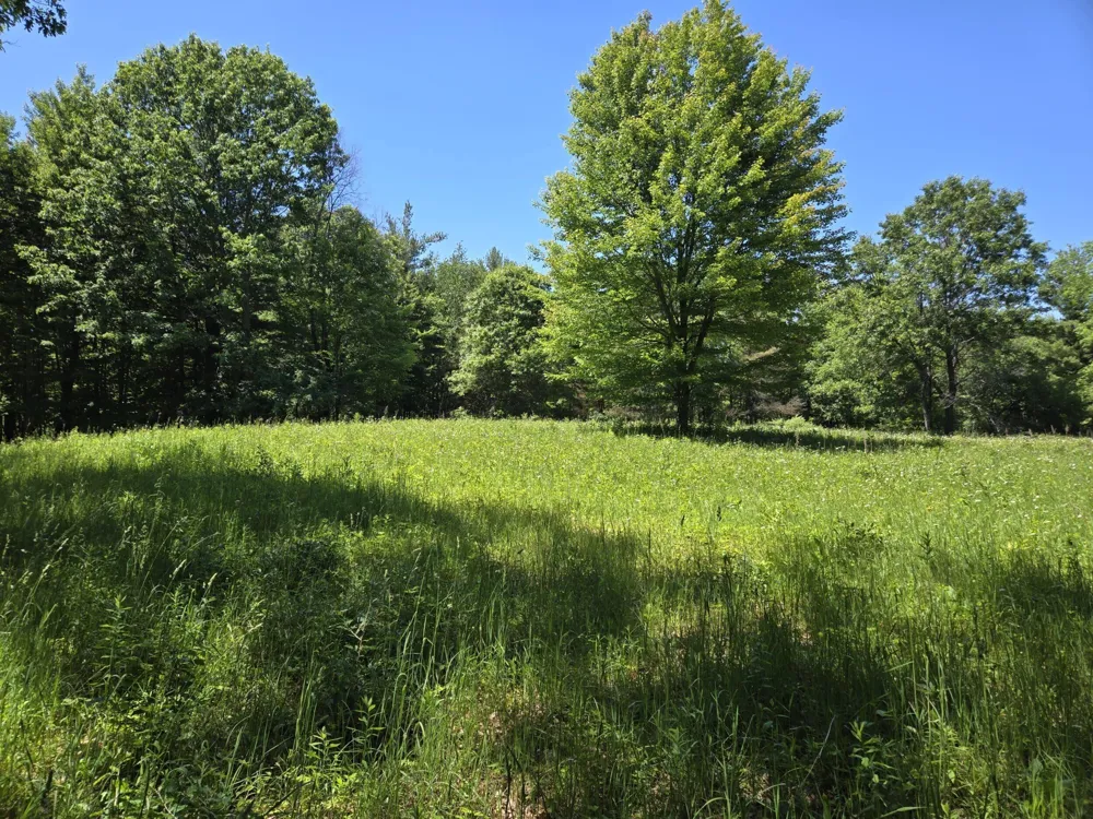 3371 Noble Road Addison Township, MI 48370