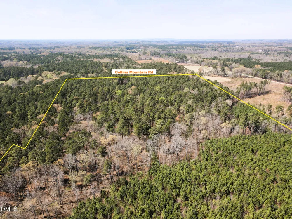 01 Collins Mountain Road Chapel Hill, NC 27516