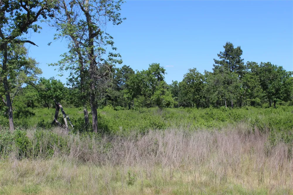 53 Pr 1315 Road Centerville, TX 75833
